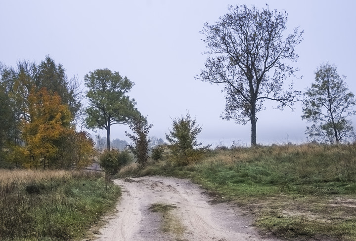 Droga z pola (Październik 2017)
