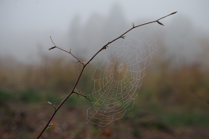 Babie lato o poranku (Październik 2017)