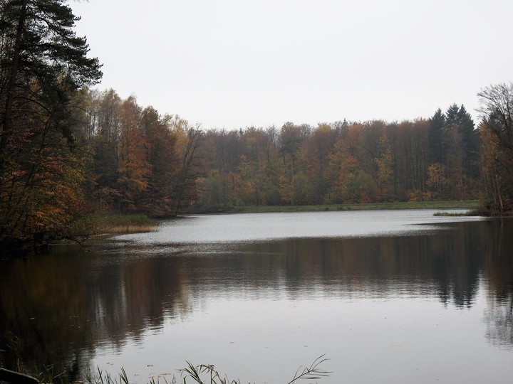 Nostalgia jesienna (Październik 2017)