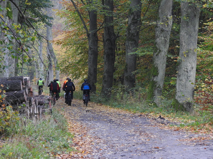 Rowerem w jesień (Październik 2017)