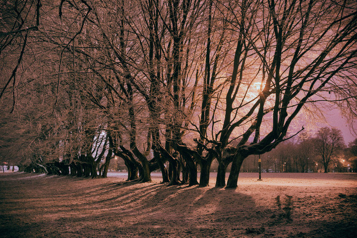 Park po zmroku (Grudzień 2017)