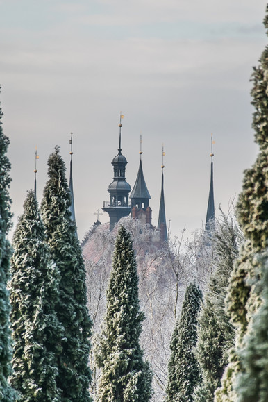 Winter is coming (Styczeń 2018)