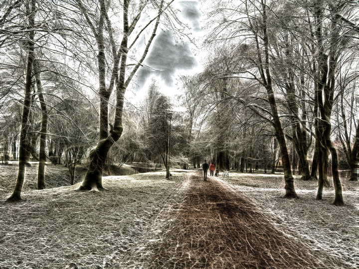Zimowy spacer w parku Kajki.