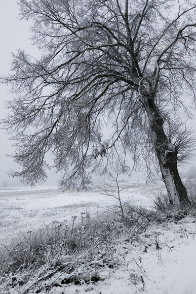 Gdy akurat spadł śnieg