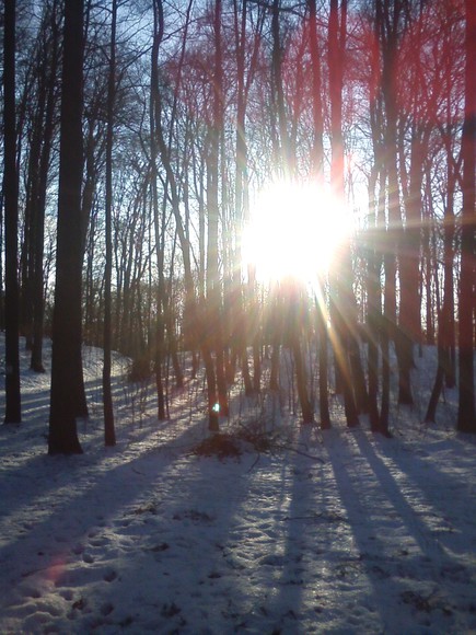 Baźantarnia (Styczeń 2018)