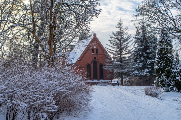 Park zimą (Styczeń 2018)