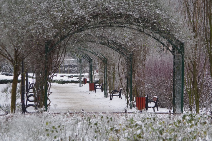 Park różany zimą (Luty 2018)