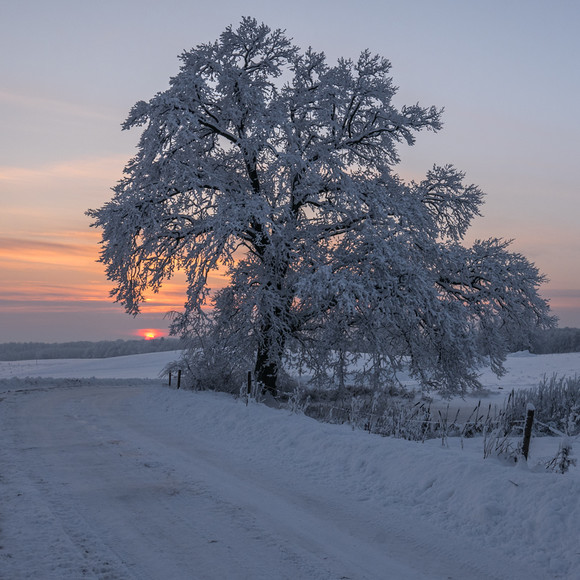 Ostatnie światło