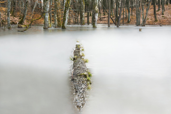 mleko (Kwiecień 2018)