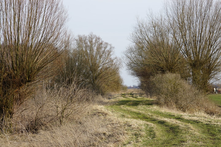 Żuławskość (Kwiecień 2018)