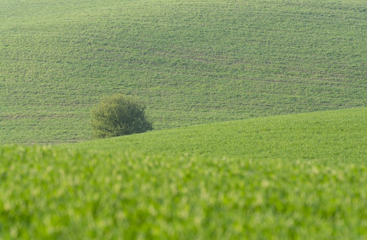 Wiosna (Kwiecień 2018)