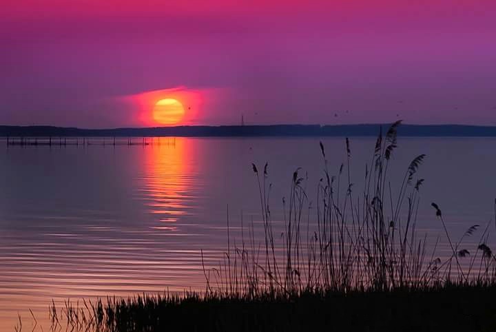 Gdy "czerwony" świeci. (Maj 2018)