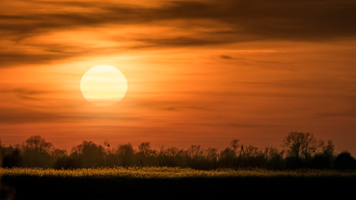 Złota godzina (Maj 2018)