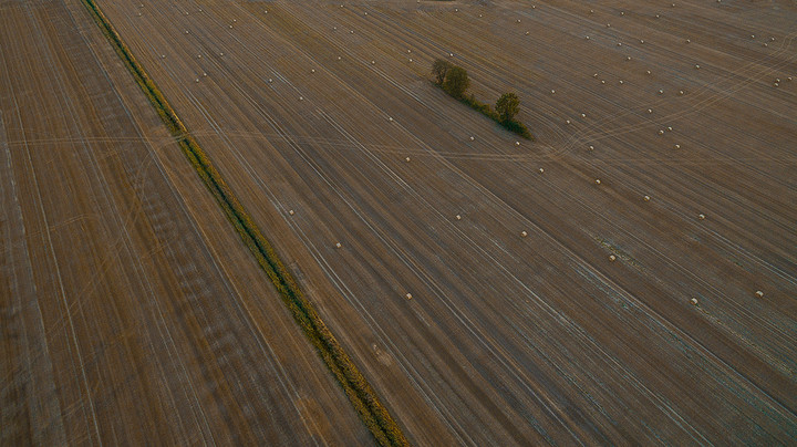 żniwa .... (Sierpień 2018)