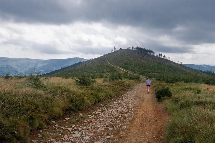 Na szlaku (Sierpień 2018)