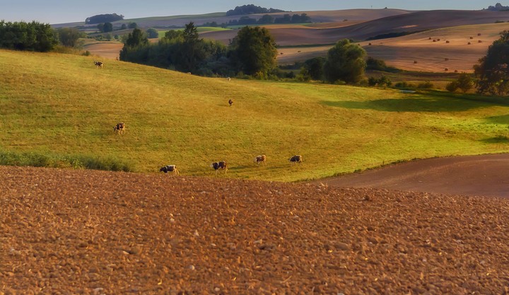 Sielski, letni wieczór (Wrzesień 2018)