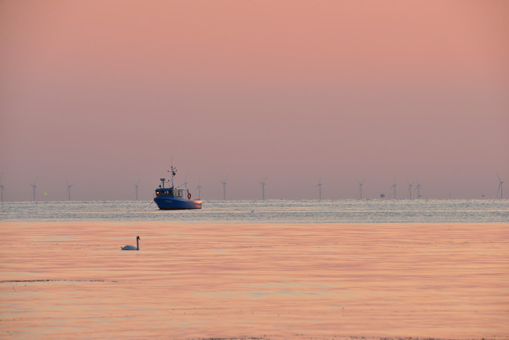 Kuter wieczorową porą (2) (Wrzesień 2018)