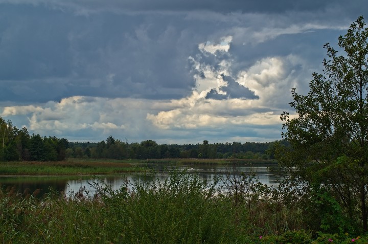 Jezioro w Mikoszewie (Wrzesień 2018)