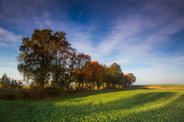 jesień (Październik 2018)