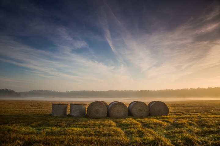 O świcie (Październik 2018)