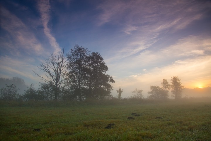 Świt (Październik 2018)