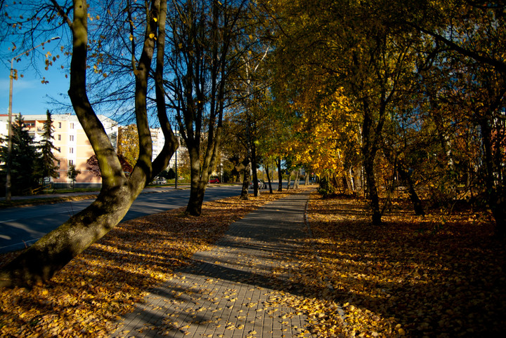 Street (Październik 2018)