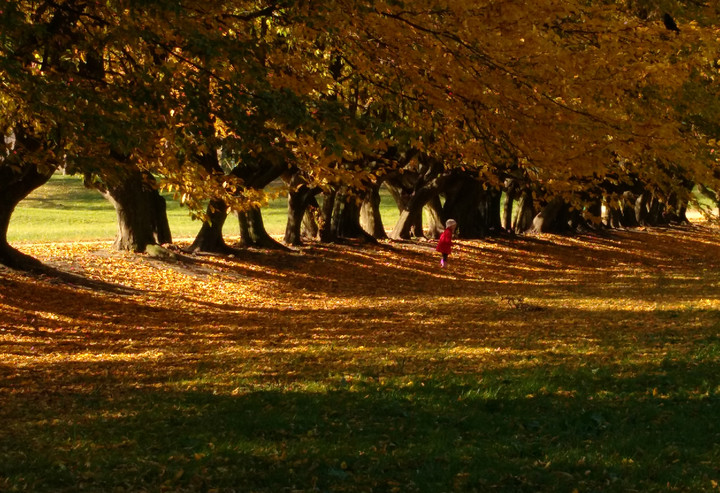 Park Kajki (Październik 2018)