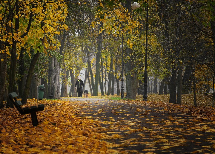"Jesień w parku" (Listopad 2018)