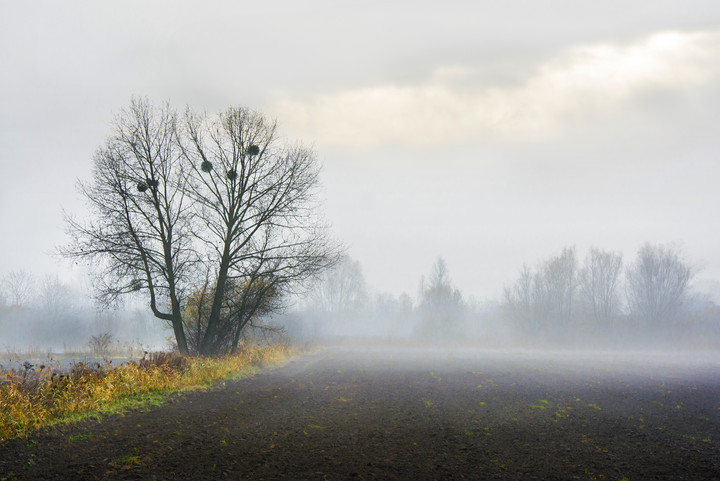 Mgiełka (Grudzień 2018)