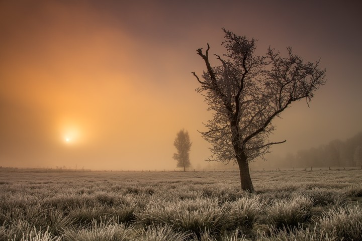 Świt (Grudzień 2018)