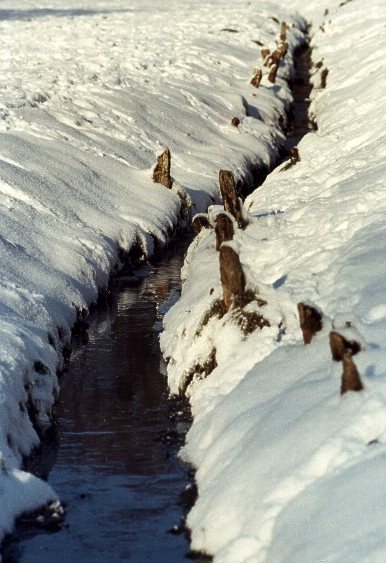 Gdzie strumyk płynie z wolna... (Styczeń 2004)