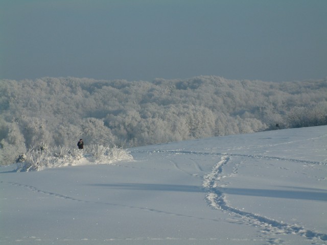  Na skróty
