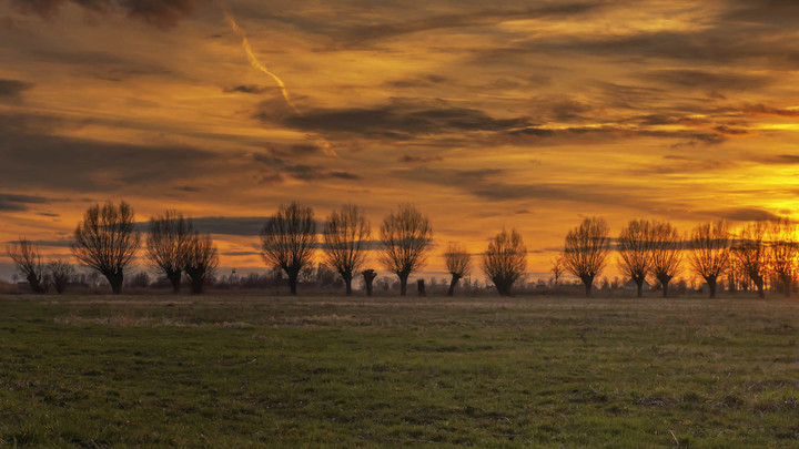 Rydwany ognia (Kwiecień 2019)