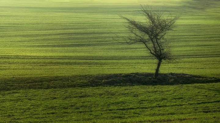 Kolory wiosny (Kwiecień 2019)