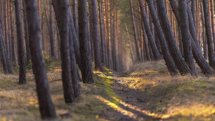 Moja rzeczywistość-pełna dotyku, marzeń i słońca (Kwiecień 2019)