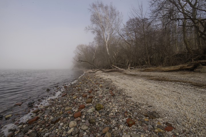 Mgliściezafaniście (2) (Kwiecień 2019)