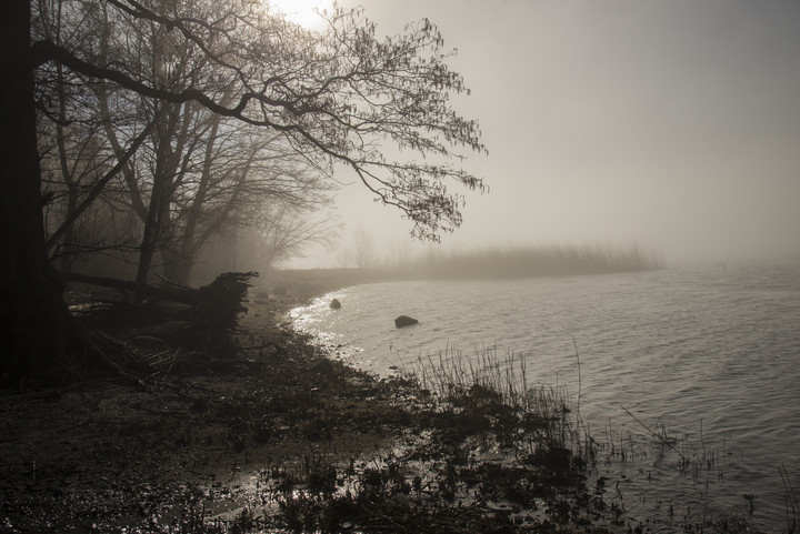 Mgliściezafajniście (3) (Kwiecień 2019)