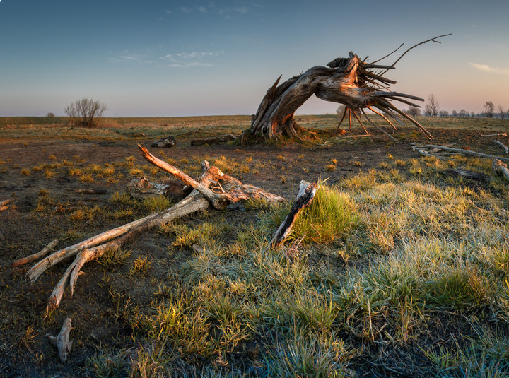 Żuławski Kraken (Kwiecień 2019)