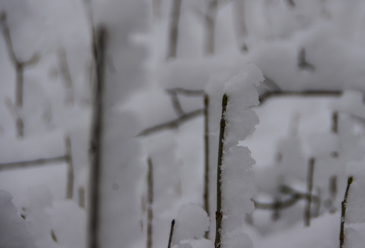 Kwiecień, plecień... (Kwiecień 2019)