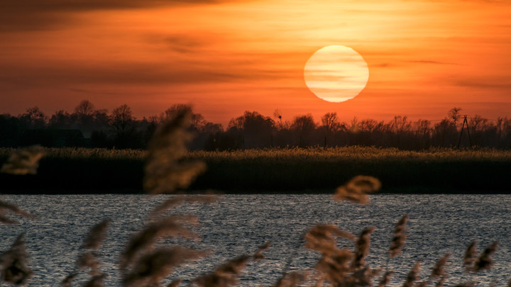 Kiedyś zajdzie za daleko... (Kwiecień 2019)