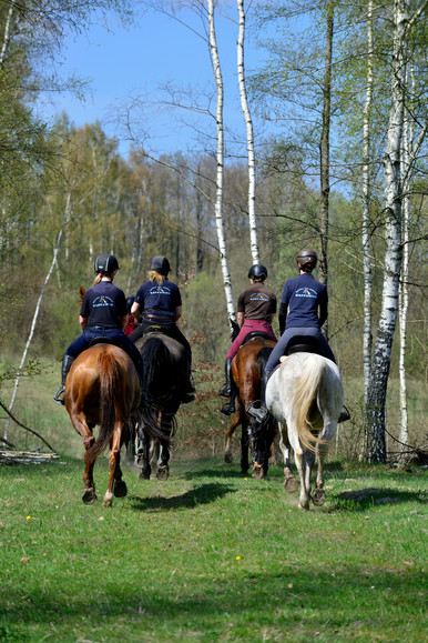 Wiosenny Teren (Kwiecień 2019)