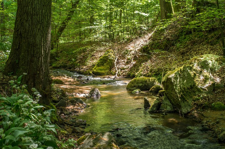 Grabianka (Maj 2019)