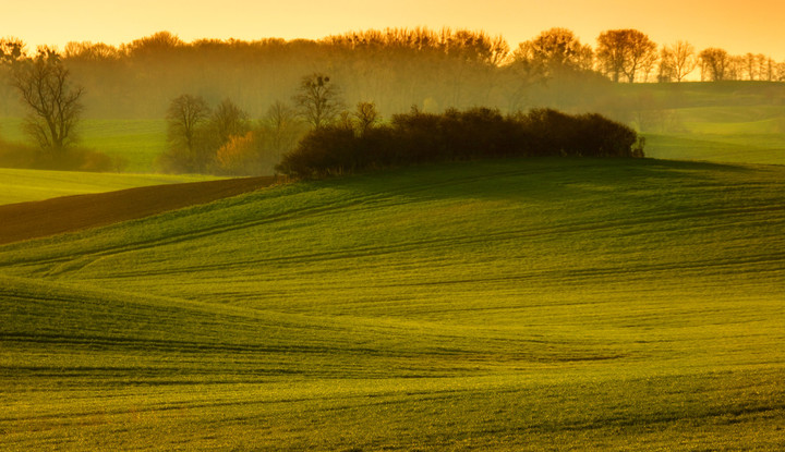 Ranek. (Maj 2019)