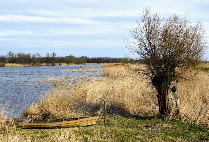 Kwintesencja żuław (Maj 2019)