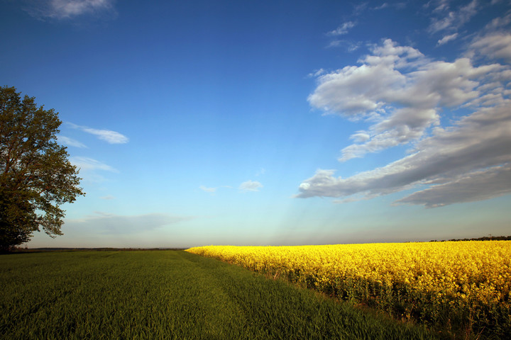 O Warmio moja miła .. (Maj 2019)