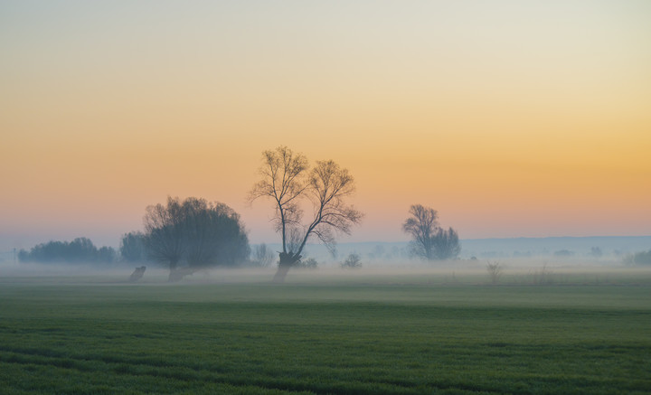 Wschód (Maj 2019)