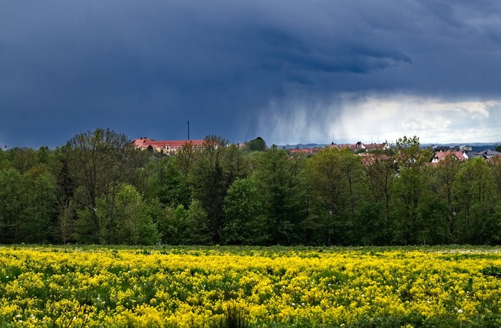 Nadciąga deszcz (Maj 2019)