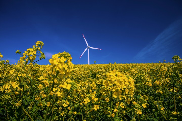 Na żółto i na niebiesko (1) (Maj 2019)