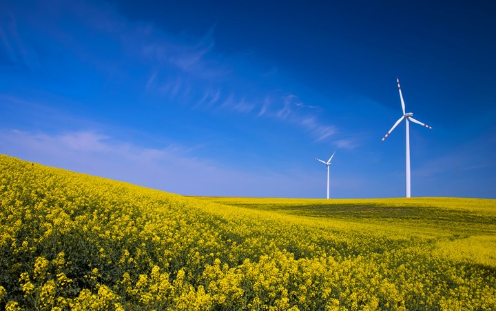 Na żółto i na niebiesko (2) (Maj 2019)