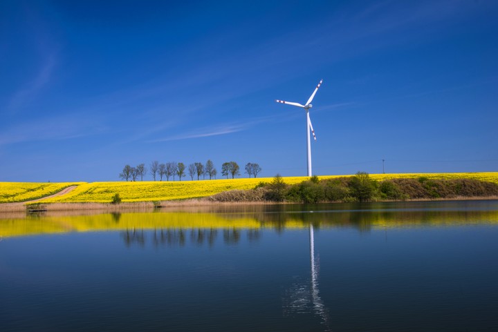 Na żółto i na niebiesko (3) (Maj 2019)